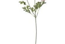 warface香港节点-香港节点加速器推荐