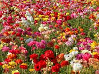 手机 香港节点-香港节点加速器推荐