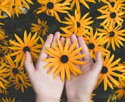 吃鸡 选择香港节点-香港节点加速器推荐