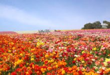 香港节点快吗-香港节点加速器推荐