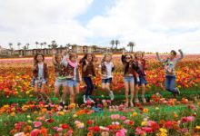 加速器的香港节点-香港节点加速器推荐