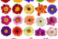 steam好的香港节点-香港节点加速器推荐