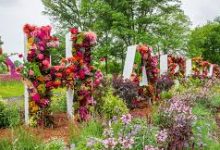 ssr节点 香港专线-香港节点加速器推荐