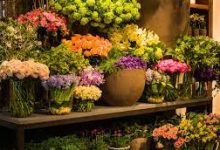 香港节点网速慢-香港节点加速器推荐