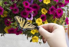 香港节点总掉线-香港节点加速器推荐