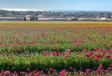 香港腾讯云节点哪个快-香港节点加速器推荐