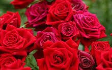 七牛云香港节点需要备案吗-香港节点加速器推荐