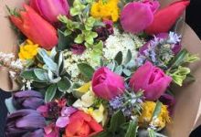 阿里云国内版香港节点-香港节点加速器推荐