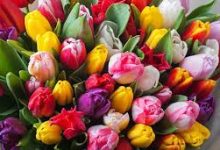 香港节点怎么搭建vps-香港节点加速器推荐