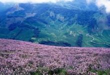 ss 香港免费节点-香港节点加速器推荐