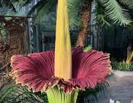 怎么换香港节点-香港节点加速器推荐