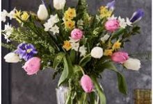 香港节点安卓-香港节点加速器推荐