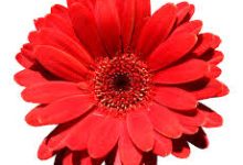 ssr 香港节点-香港节点加速器推荐