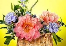 暮梅香港代理节点-香港节点加速器推荐