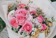 腾讯云cdn有香港节点-香港节点加速器推荐