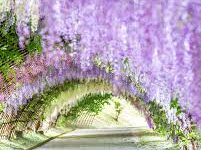 阿里云香港节点如何-香港节点加速器推荐