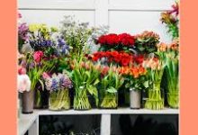 香港的节点是-香港节点加速器推荐