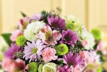 玩彩六用香港节点进不去-香港节点加速器推荐