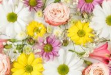 gta5下载节点怎么换成香港-香港节点加速器推荐