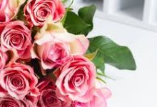 腾讯加速器只能连香港节点吗-香港节点加速器推荐