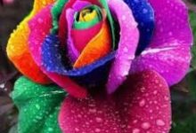 跨境电商香港节点-香港节点加速器推荐