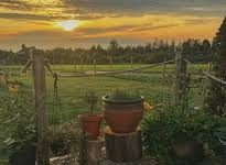 百度cdn 香港节点-香港节点加速器推荐