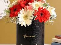 v2ray香港节点-香港节点加速器推荐