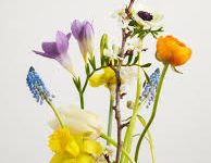 节点香港移动-香港节点加速器推荐