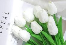 ios11香港节点加速器-香港节点加速器推荐