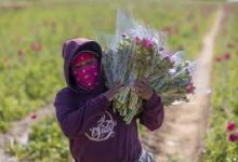 steam香港节点英文名字-香港节点加速器推荐