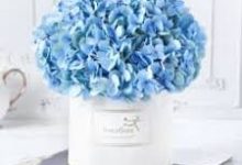 psn 香港节点 连日服-香港节点加速器推荐