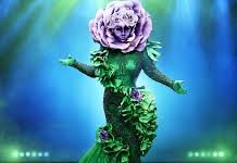 香港节点的 vps-香港节点加速器推荐