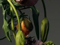 ssr免费节点 香港-香港节点加速器推荐