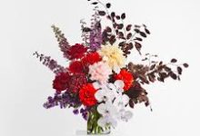 网络加速器香港节点-香港节点加速器推荐