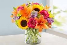 uu加速器不能选香港节点-香港节点加速器推荐