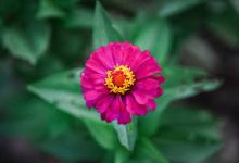 网易uu加速器香港节点-香港节点加速器推荐