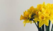 阿里云ss香港节点-香港节点加速器推荐