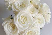 dns香港节点-香港节点加速器推荐