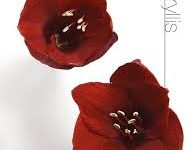 香港节点上不去ins-香港节点加速器推荐