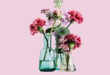 为什么加速器节点在香港-香港节点加速器推荐