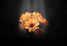 雷神加速香港节点-香港节点加速器推荐