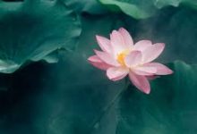 阿里云香港节点丢包率高-香港节点加速器推荐