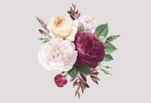 香港节点移动打不开-香港节点加速器推荐