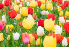 绝地求生随机香港节点-香港节点加速器推荐