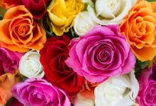 香港和美国节点-香港节点加速器推荐