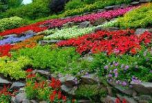 那个加速器用香港节点-香港节点加速器推荐