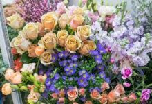 steam只能用香港节点-香港节点加速器推荐