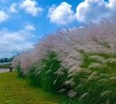 绝地求生香港节点-香港节点加速器推荐