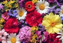 谷歌云没有香港节点-香港节点加速器推荐