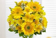 为什么uu加速器没有香港节点-香港节点加速器推荐